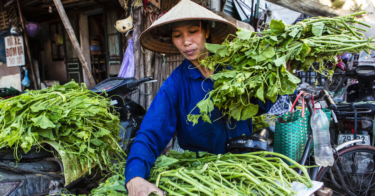 Local flavours on the menu with new foodie walking tours | Seven West Travel Club