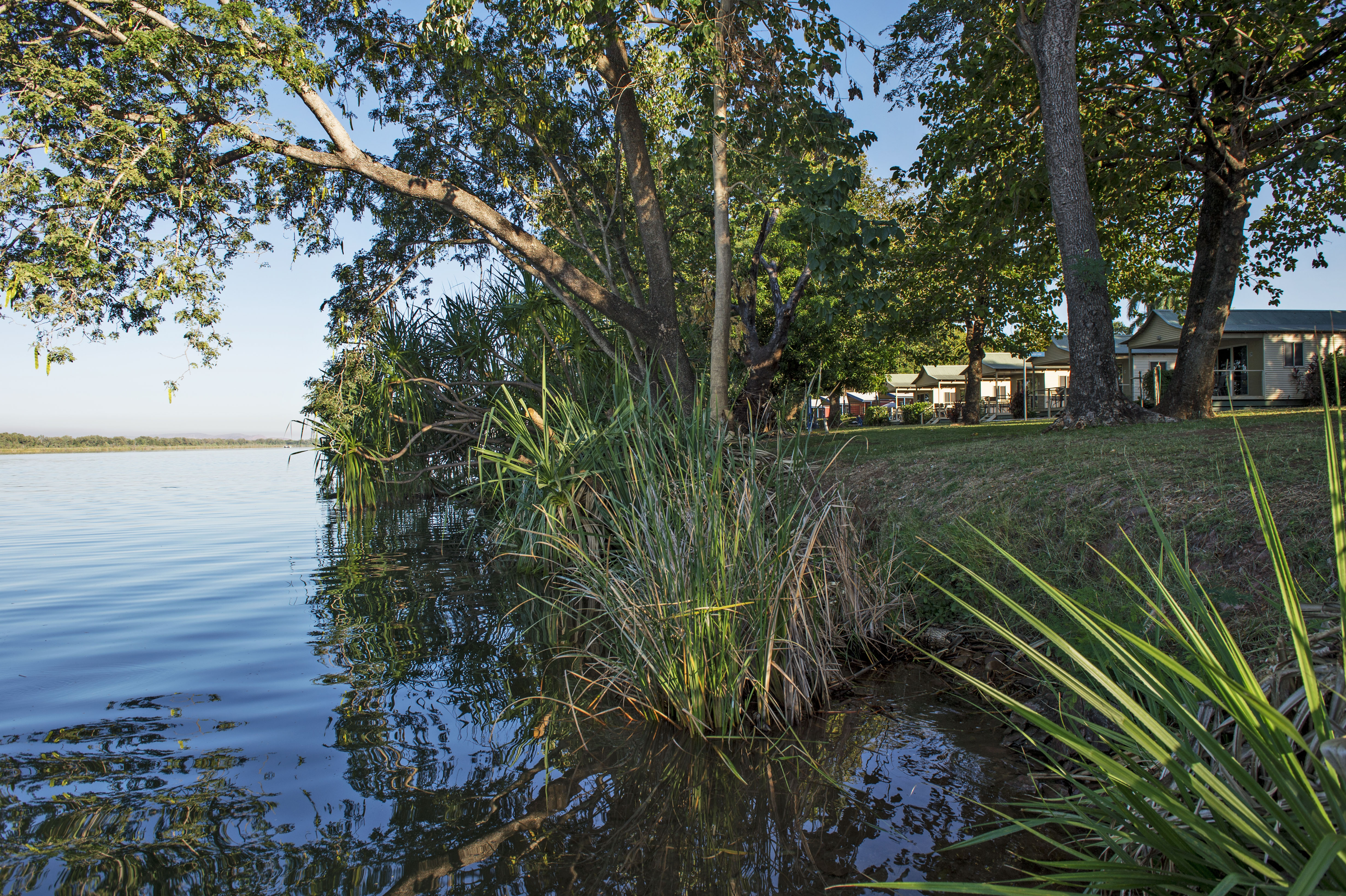 Dog Friendly Caravan Parks Kununurra Dog Friendly Caravan Parks Kununurra
