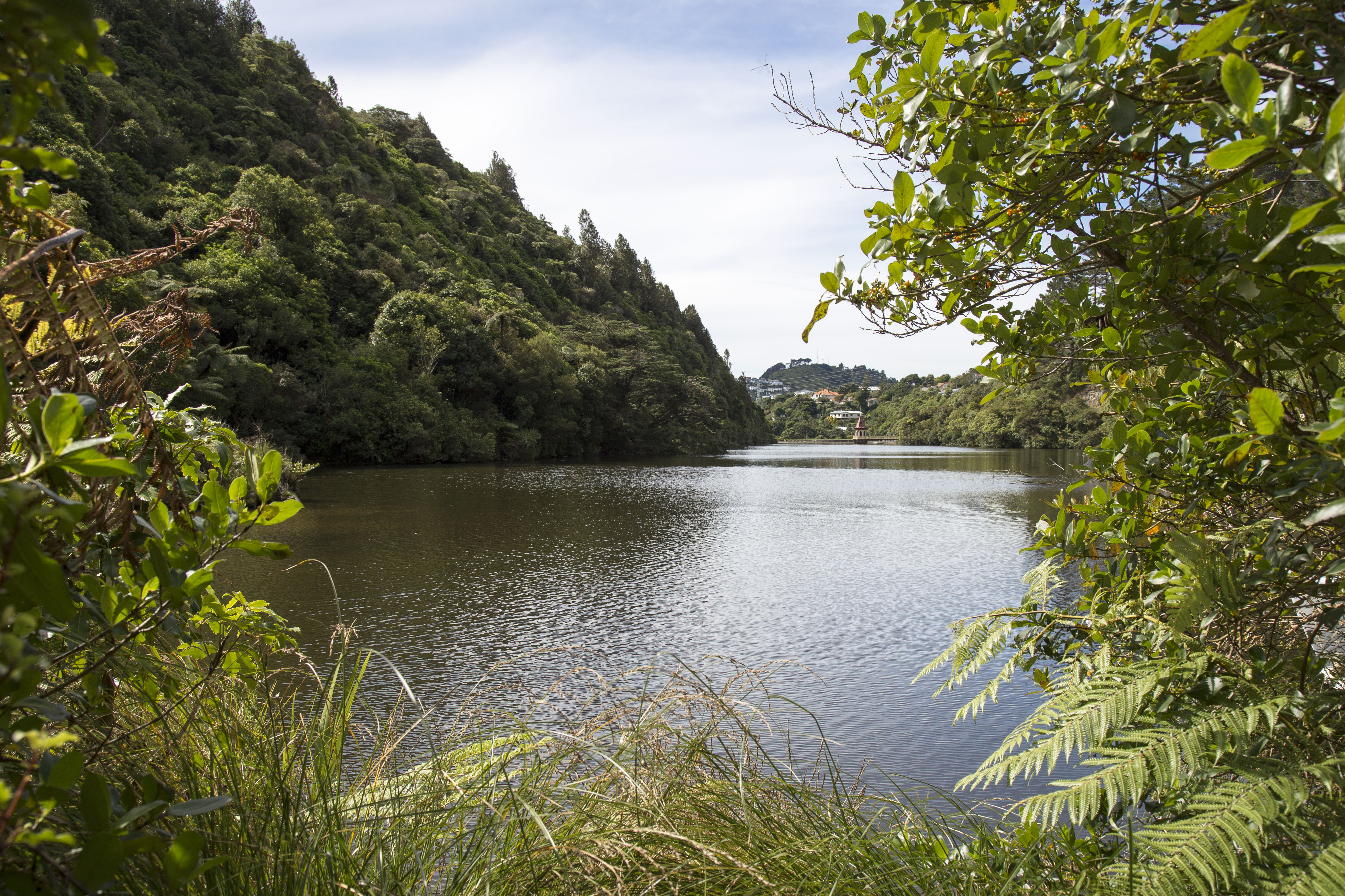 New Zealand's eclectic "capital of cool" West Travel Club